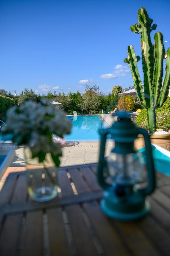 Le Mas De La Source Bed & Breakfast Mougins Eksteriør bilde