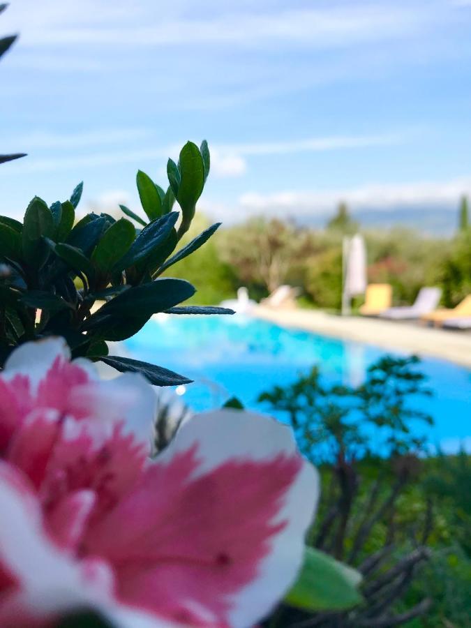 Le Mas De La Source Bed & Breakfast Mougins Eksteriør bilde
