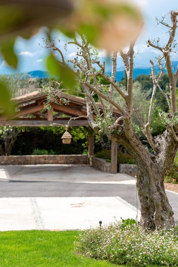 Le Mas De La Source Bed & Breakfast Mougins Eksteriør bilde